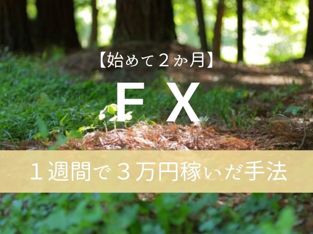 Fx歴２か月の初心者が３万円稼いだ手法 これで赤字脱出しました 生き方最適化ノート